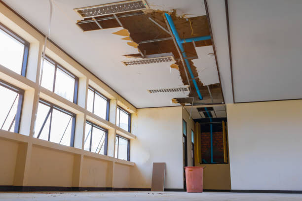 Best 24/7 water damage repair  in Sandoval, IL