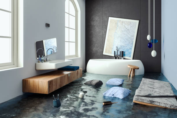 Best Ceiling water damage repair  in Sandoval, IL