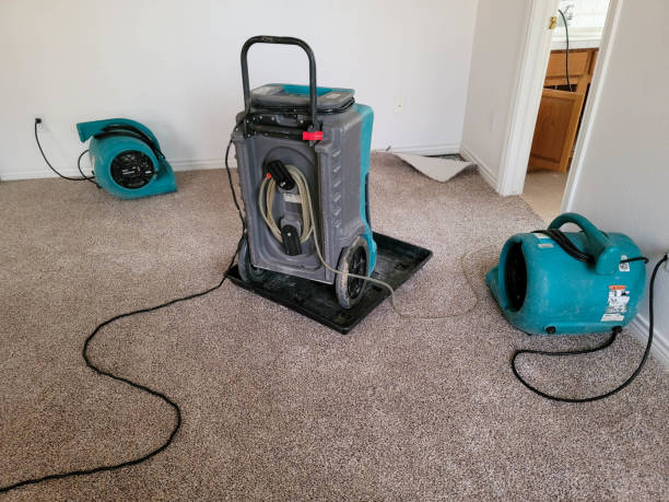 Best Residential water damage restoration  in Sandoval, IL