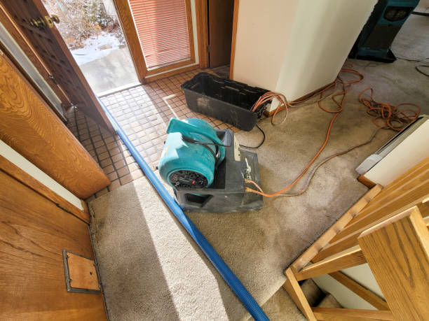 Best Residential water damage restoration  in Sandoval, IL