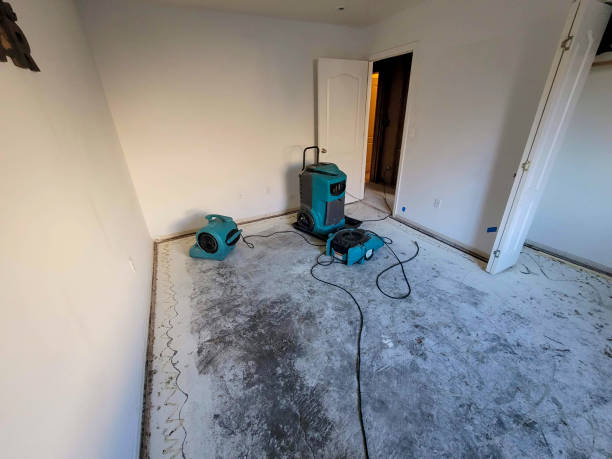 24/7 water damage repair in Sandoval, IL