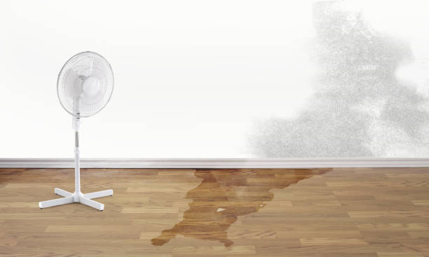 Best Emergency water damage restoration  in Sandoval, IL