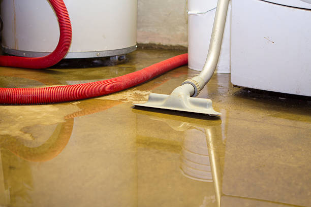 Best Sewage cleanup and water damage restoration  in Sandoval, IL