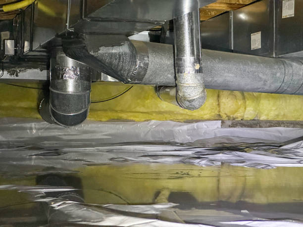Best Professional water damage repair  in Sandoval, IL