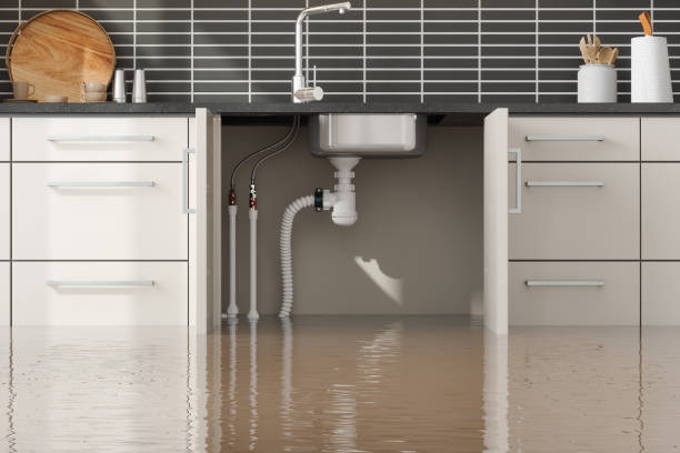 Best Ceiling water damage repair  in Sandoval, IL