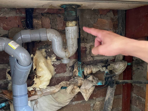 Best Water damage cleanup near me  in Sandoval, IL